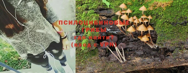 герыч Корсаков